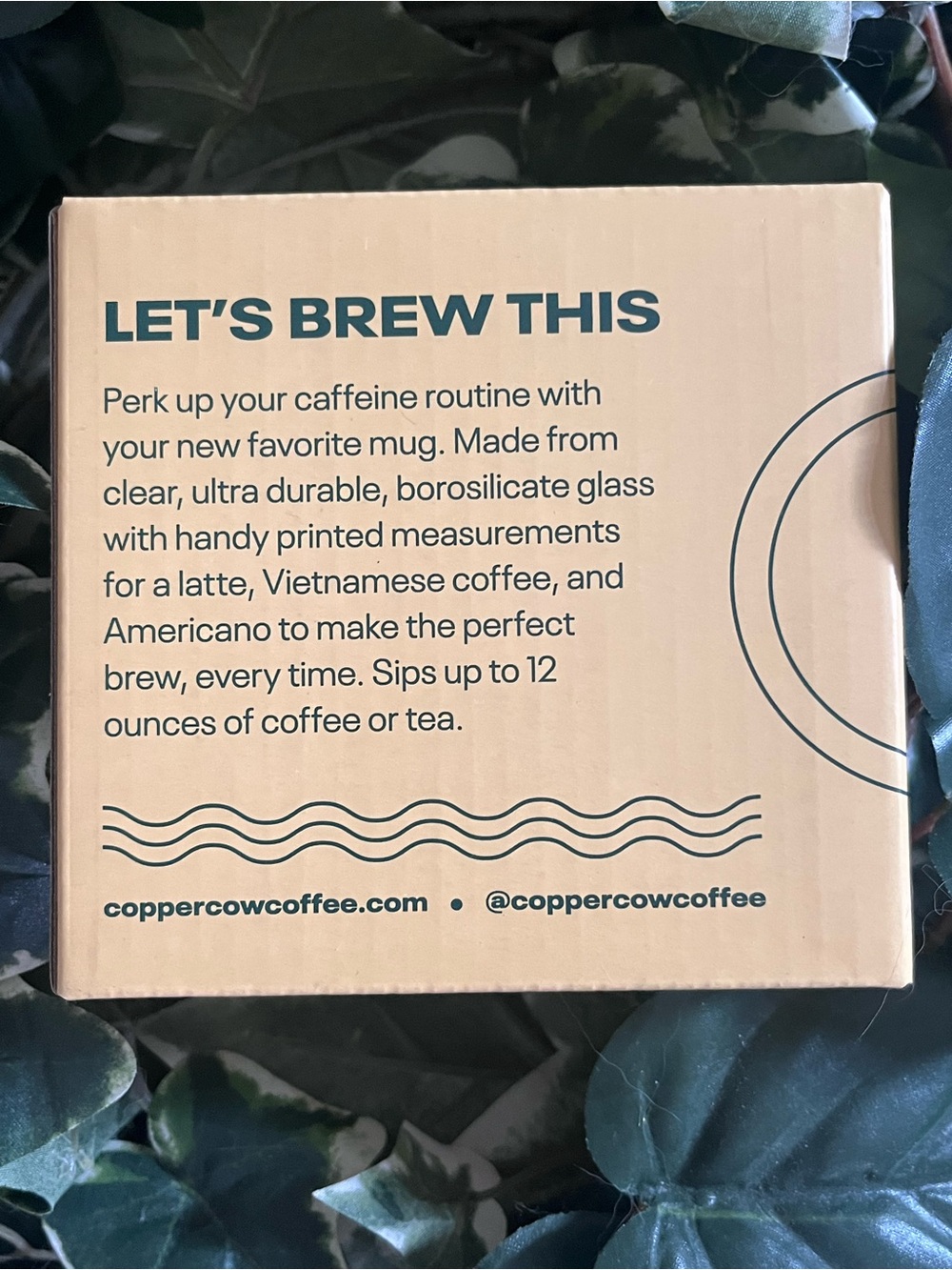 Copper Cow Coffee The Coffeeist Glass Coffee Cup - Picture 9 of 11